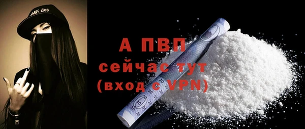 PSILOCYBIN Лагань