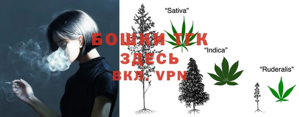 первитин Карпинск