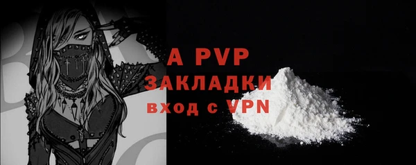 PSILOCYBIN Лагань