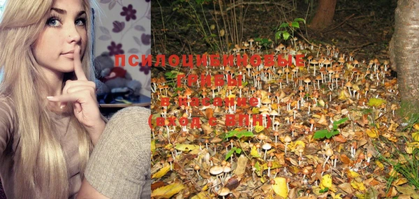 PSILOCYBIN Лагань