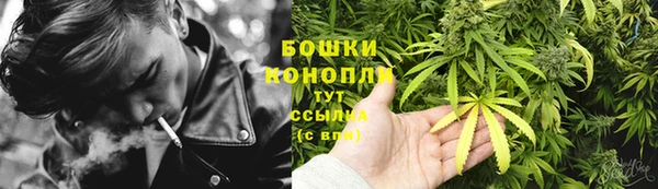 PSILOCYBIN Лагань